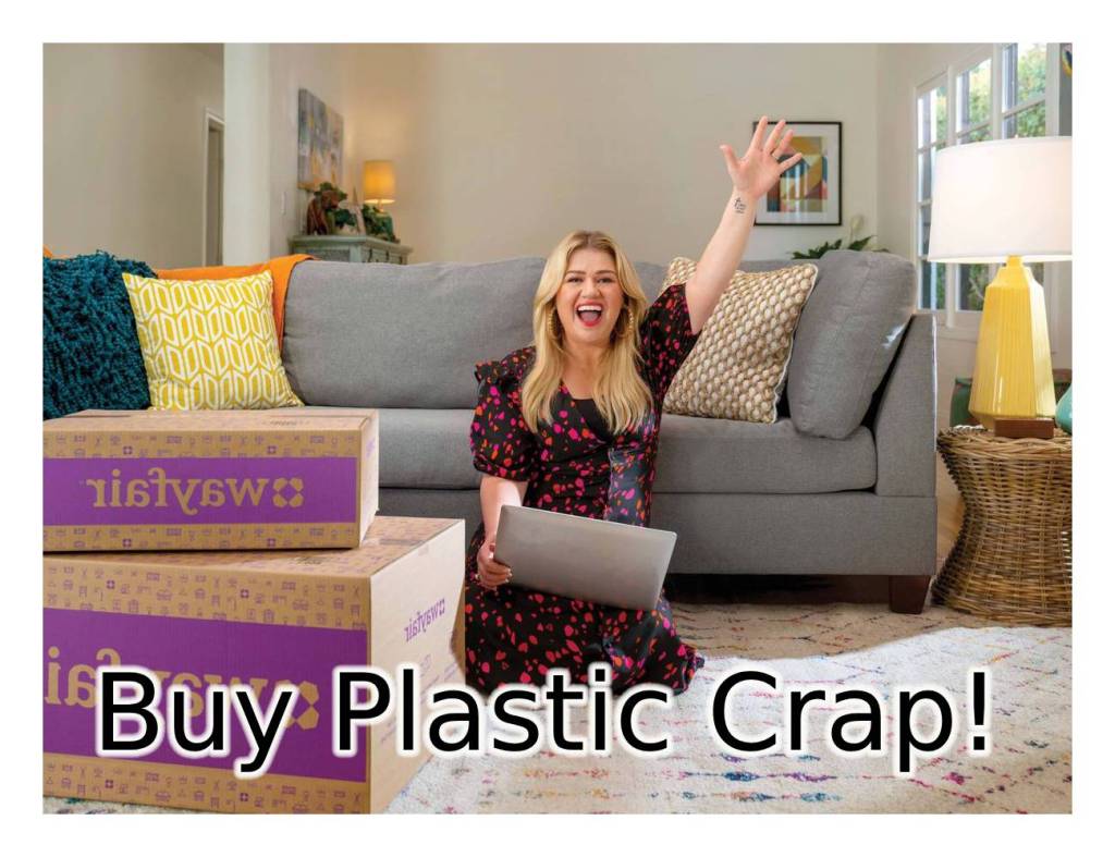 MEME - Buy Plastic Crap from Wayfair